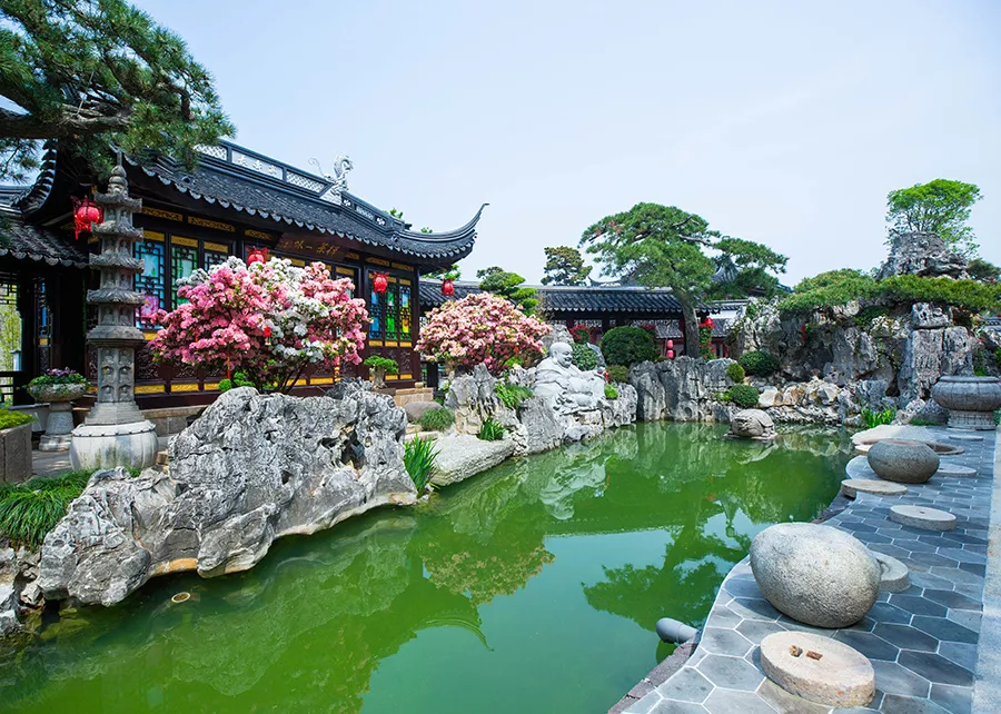 禅茶一味亭前锦鲤鱼池